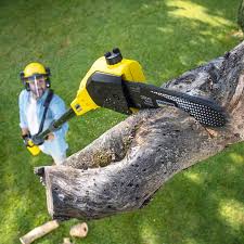 Best Organic Lawn Care Solutions  in Granite Falls, NC